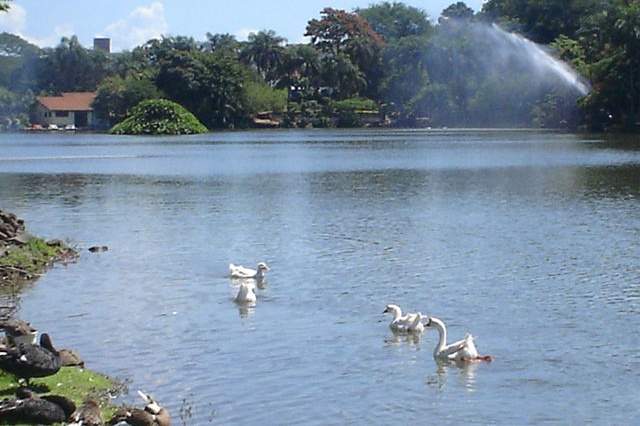 Registro De Marcas Em Araras - SP 1 Registro de Marcas em Araras