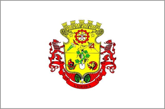 Registro De Marcas Em Videira - SC 1 Registro de Marcas em Videira