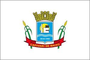 Registro De Marcas Em Capivari de Baixo - SC 20 Capivari de Baixo Registro de Marcas em Capivari de Baixo