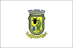 Registro De Marcas Em Sonora - MS 57 Sonora Registro de Marcas em Sonora