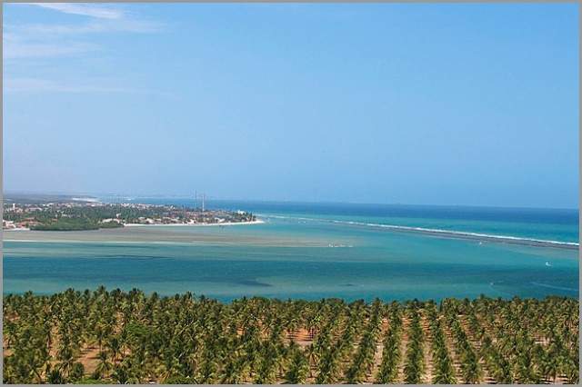 Registro De Marcas Em Barra de São Miguel - AL 1 Registro de Marcas em Barra de São Miguel AL