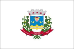 Registro De Marcas Em Guaçuí - ES 35 Guaçuí Registro de Marcas em Guacui
